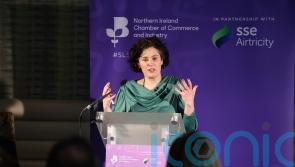Businesses need to make their voices heard on protocol benefits, SDLP MP says