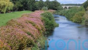 Raw sewage dumped into English waters 372,533 times in 2021, figures show