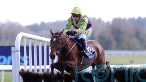 Hanlon thrilled to keep Skyace in his yard