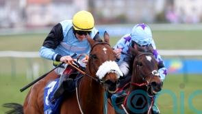 Milkwood all set for Scottish Champion Hurdle defence