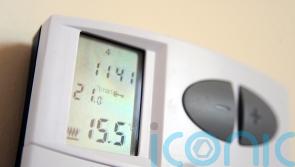 Caution urged over plug-in heaters as energy bills soar