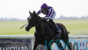 Bluegrass spearheads O’Brien’s latest Ballysax bid