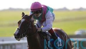 Sacred Bridge on fact-finding mission at Leopardstown