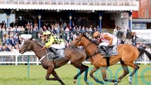 Bookmakers reeling as every favourite wins at Ayr