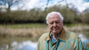 Attenborough to tell ‘unheard story’ of prehistoric planet in Apple TV+ series