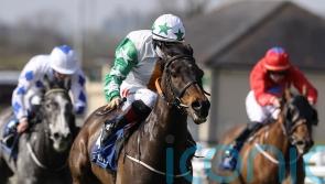 Laugh A Minute seeking quick double in Cork highlight