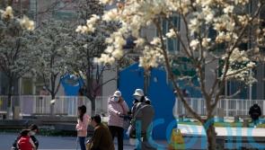 Covid cases rise in Shanghai with millions under lockdown