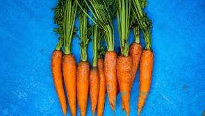 International Carrot Day: 9 weird and wonderful things you didn’t know about the orange vegetable