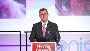 DUP will not return to executive without removal of sea border, Donaldson vows