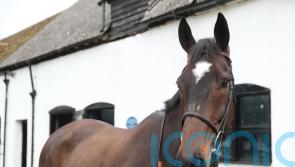Polly Gundry banking on ‘divine’ Santini’s class to rise to the top