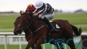 Harrington eyeing up Newmarket for Discoveries