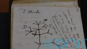 ‘Stolen’ Darwin manuscripts anonymously returned to university library