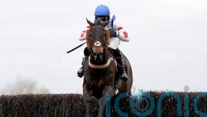 Clan Des Obeaux and Kemboy meet again in Betway Bowl