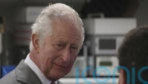 Almost half of Britons think Charles should step aside for William – survey