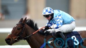 Nick Kent on verge of breakthrough success with Erne River