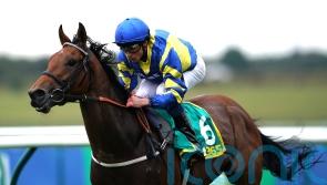 Trueshan makes class count in Nottingham stroll