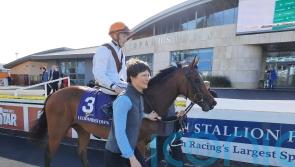 Pearls Galore sets up big season with victory at Leopardstown