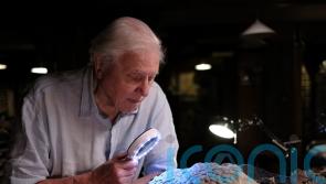 David Attenborough: New asteroid evidence provides ‘moment of justification’