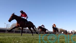 Ahoy Senor and Bravemansgame all set for Aintree rematch