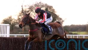 Funambule Sivola continuing dream season in Marsh Chase