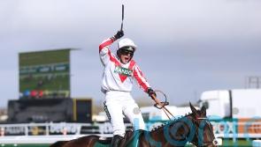 Gina Andrews celebrates with Foxhunters’ hero Latenightpass