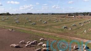 Labour MSP proposes cap to tackle ‘entrenched inequality’ of land ownership