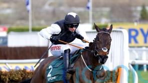 Flooring Porter aiming to complete Cheltenham-Aintree double