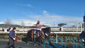 Blackbeard plunders Dundalk prize on debut