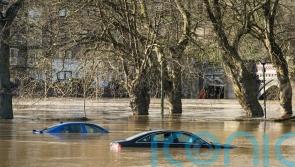 British-born dog breeder dies after getting caught in Australian floods