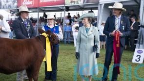 Princess Royal starts Australian tour by opening 200th Sydney Royal Easter Show