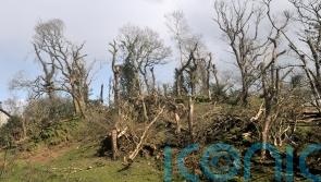Owner ‘in shock’ after tornado batters Welsh farm
