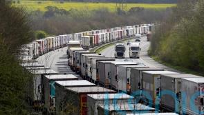 Long wait times at Dover crossing costing transport companies ‘£800 per lorry’