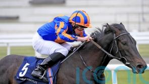 O’Brien sets sights on Royal Ascot with Meditate