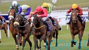 Layfayette swoops to conquer in Alleged Stakes