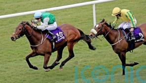 Markaz Paname impresses in Gladness victory