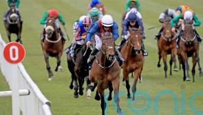 Waterville only third on eagerly-awaited debut at the Curragh