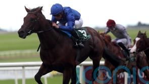 Native Trail confirmed for Craven comeback