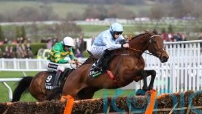 Bonus offered in hope of securing Constitution Hill and Honeysuckle clash