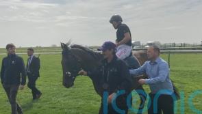 Dubawi Legend does everything right in pre-Guineas workout