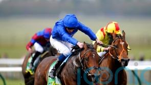 New Science runs out smooth Free Handicap winner