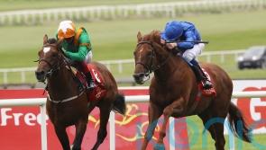 Lone Eagle poised to return from injury this season