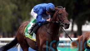 Native Trail sets out on road to Guineas glory with Craven test