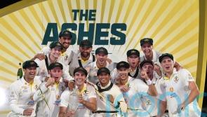 Cricket Australia appoints Andrew McDonald as new head coach