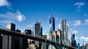 Two new trade and investment envoys appointed for US markets