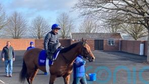 Coroebus heads straight to Guineas after pleasing gallop