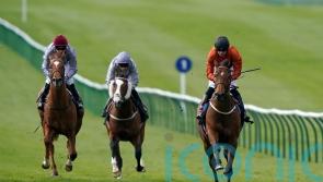 Double Or Bubble rallies to win Abernant thriller