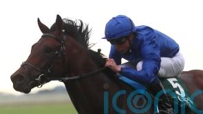 Native Trail cut for Guineas glory after Craven success