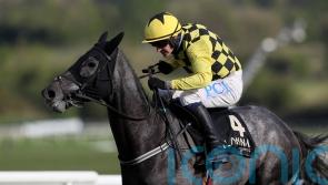 Gaillard Du Mesnil heads 51 in Irish National reckoning