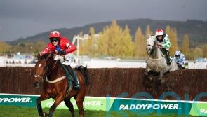 Silver takes Cheltenham gold