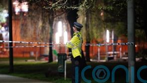 Boy, 16, dies in stabbing after police called to reports of fight